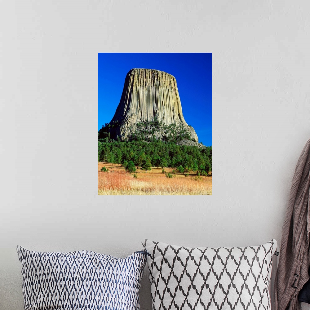 A bohemian room featuring Devils Tower, blue sky, Devils Tower National Monument, Wyoming