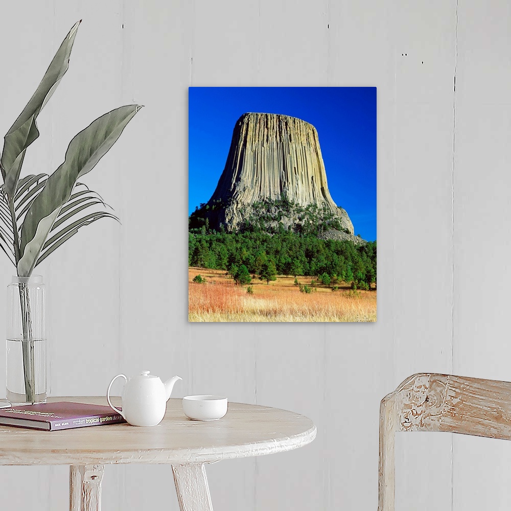 A farmhouse room featuring Devils Tower, blue sky, Devils Tower National Monument, Wyoming