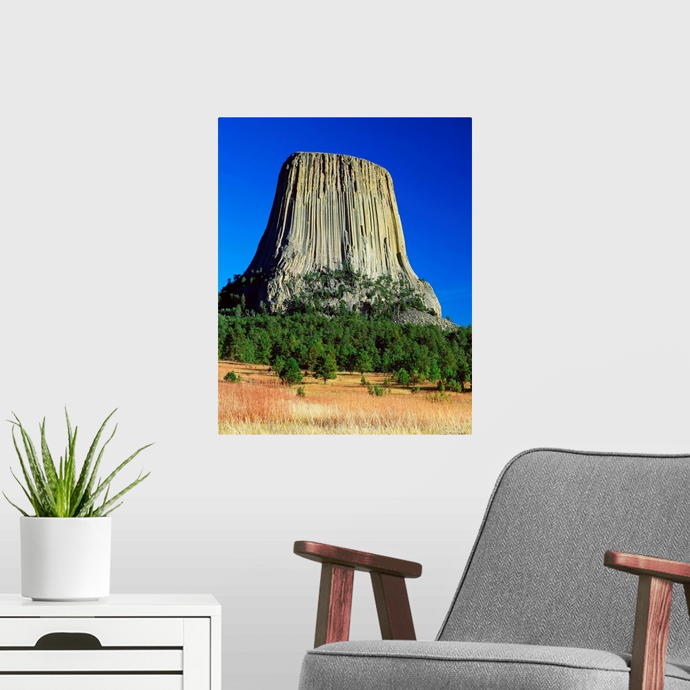 A modern room featuring Devils Tower, blue sky, Devils Tower National Monument, Wyoming