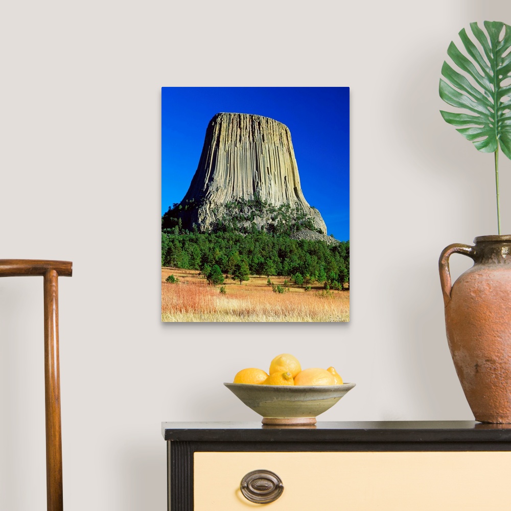 A traditional room featuring Devils Tower, blue sky, Devils Tower National Monument, Wyoming