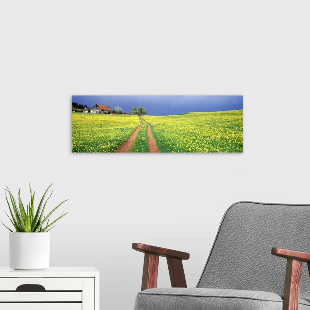 A modern room featuring Dirt road passing through a field, Germany