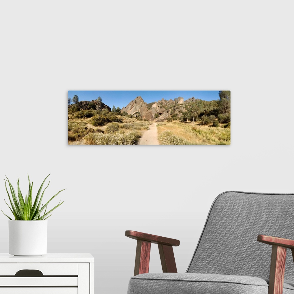 A modern room featuring Dirt road passing through a field, Pinnacles National Monument, Salinas Valley, California