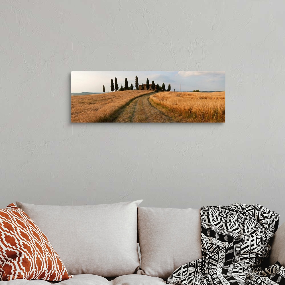 A bohemian room featuring Dirt road passing through a field, Val d'Orcia, Tuscany, Italy