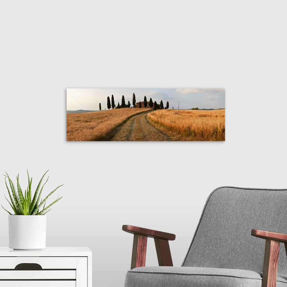 A modern room featuring Dirt road passing through a field, Val d'Orcia, Tuscany, Italy