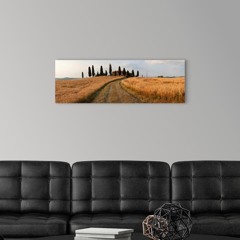 A modern room featuring Dirt road passing through a field, Val d'Orcia, Tuscany, Italy