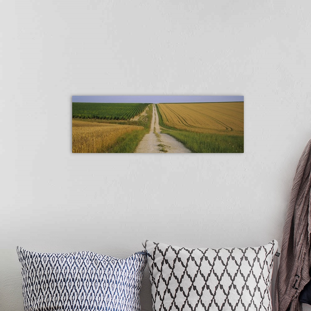 A bohemian room featuring Dirt road passing through a wheat field, Chablis, France