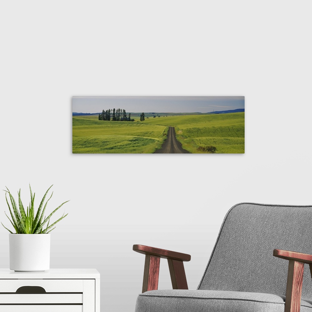 A modern room featuring Dirt road passing through a wheat field, Palouse, Washington State