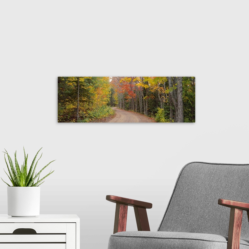 A modern room featuring Dirt road passing through autumn forest, Keweenaw Peninsula, Michigan,
