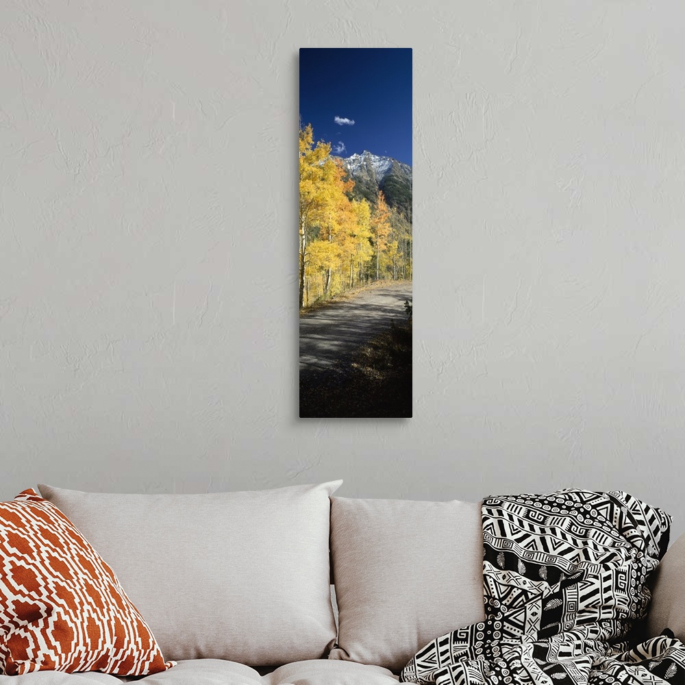 A bohemian room featuring Dirt road passing through autumn forest, San Juan Mountains, Durango, La Plata County, Colorado,