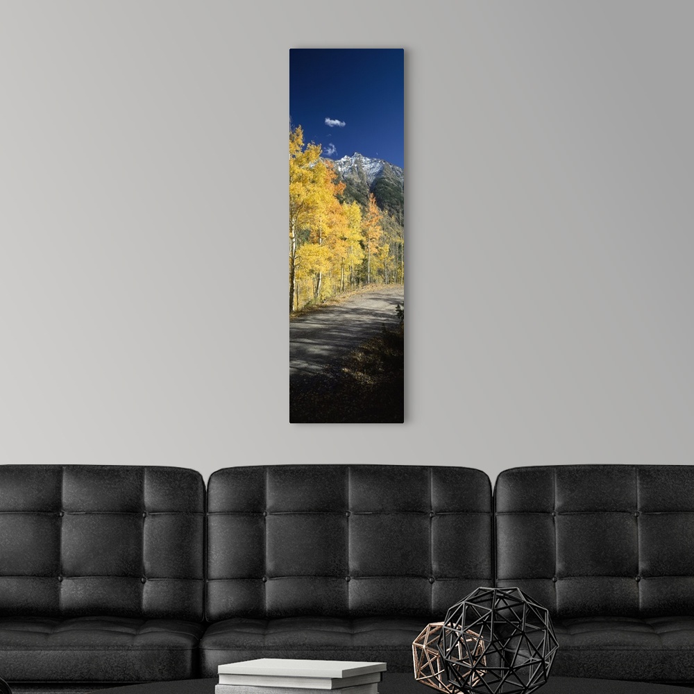 A modern room featuring Dirt road passing through autumn forest, San Juan Mountains, Durango, La Plata County, Colorado,
