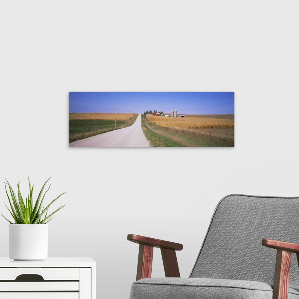 A modern room featuring Dirt road passing through corn fields, Minnesota