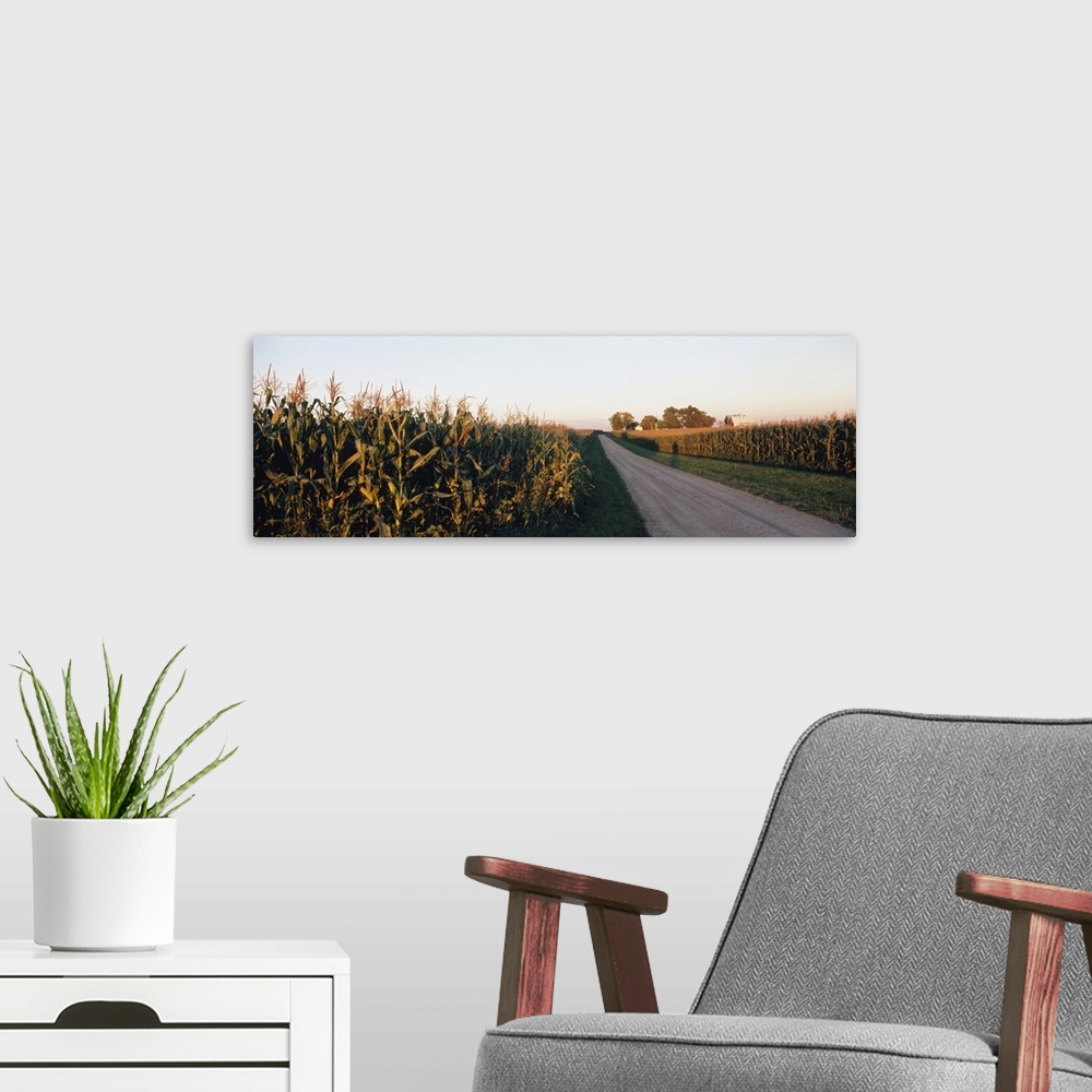 A modern room featuring Dirt road passing through fields, Illinois