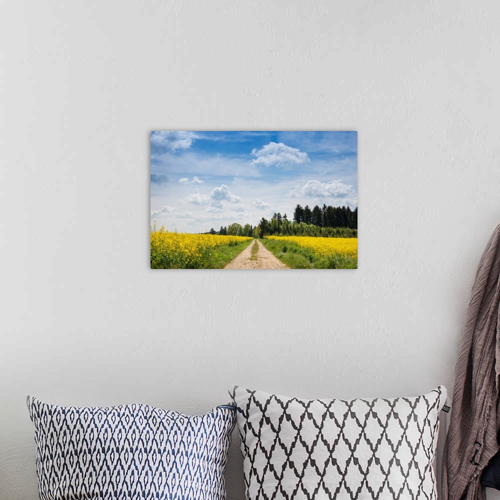 A bohemian room featuring Dirt road passing through rapeseed fields, Baden-Wurttemberg, Germany