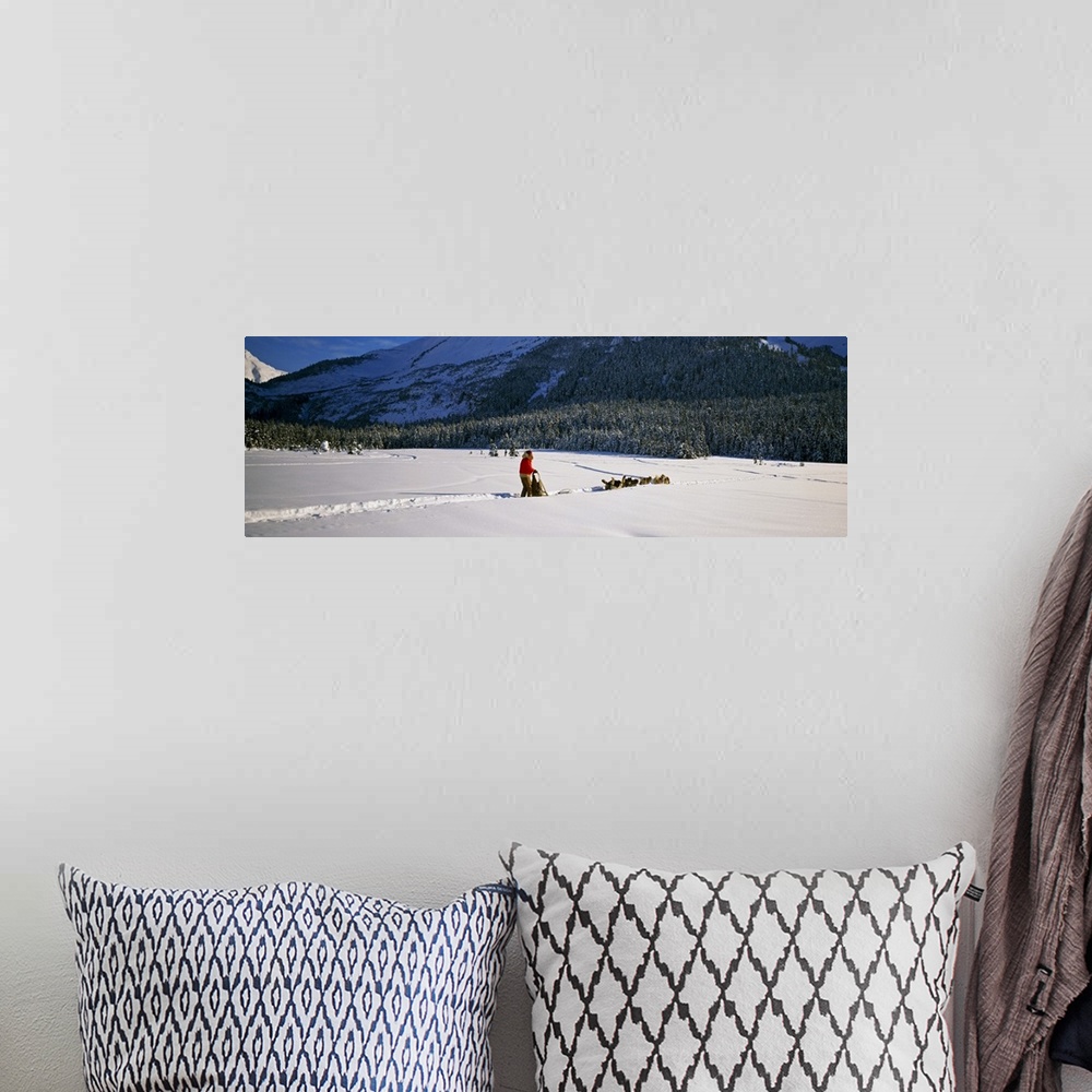 A bohemian room featuring Dog musher and sled dog team on snow-covered trail, Chugach Mountains, Alaska