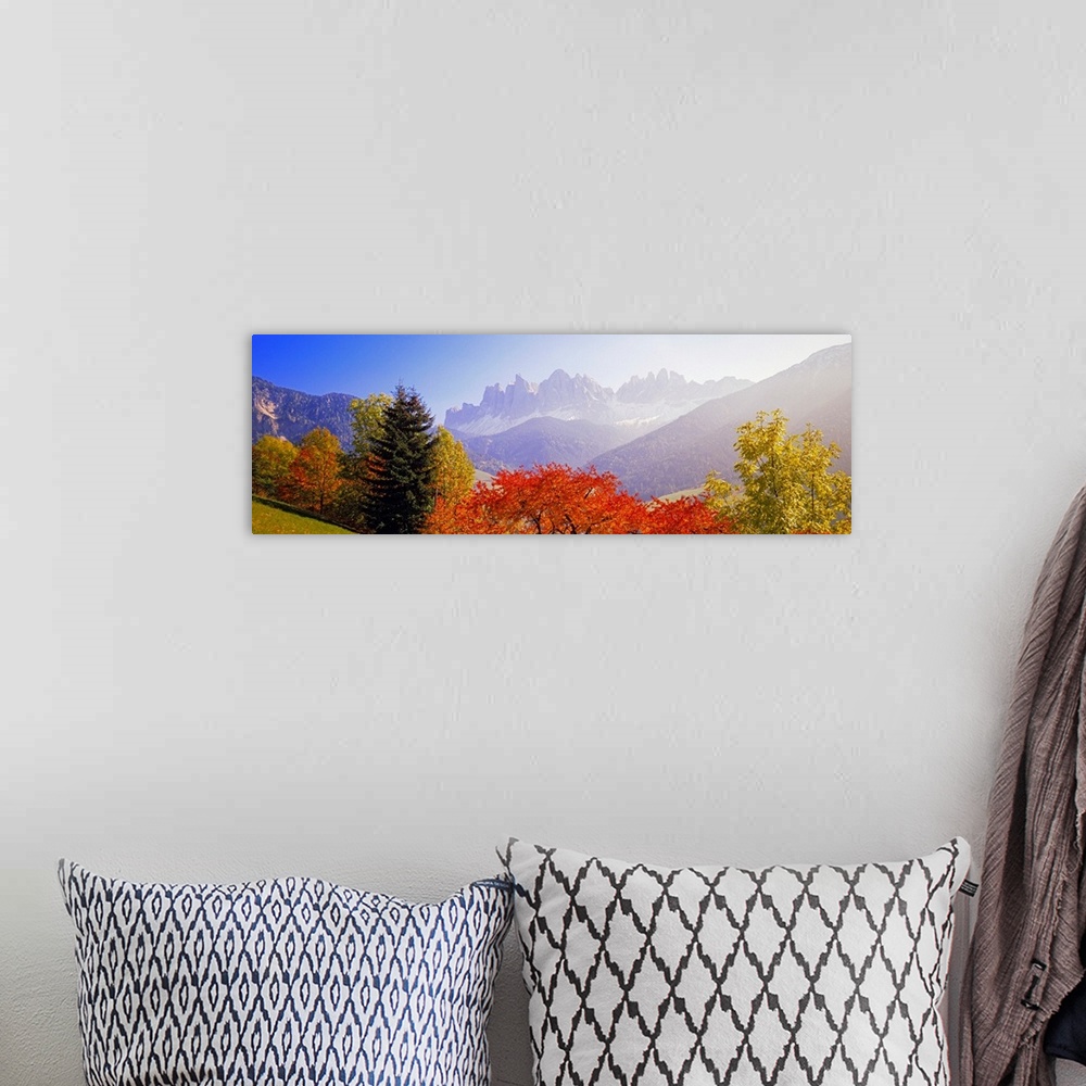 A bohemian room featuring Panoramic photograph of autumn tree line with mountains in distance.