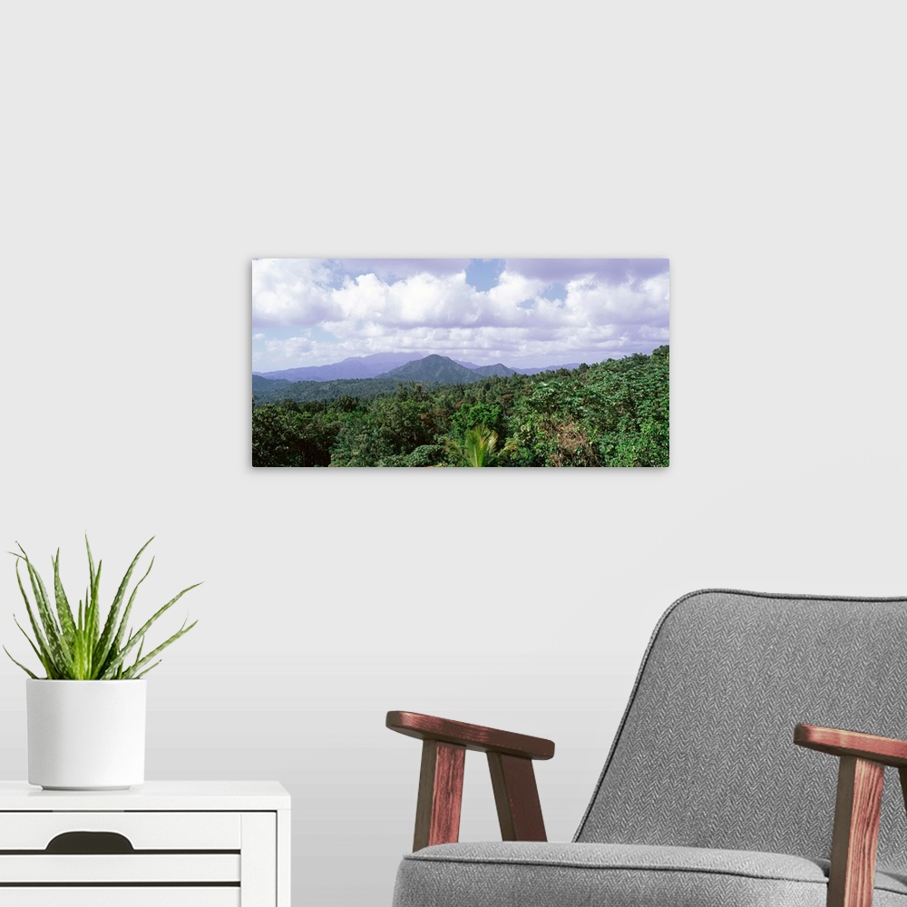 A modern room featuring Dominican Republic, Tree on the mountains