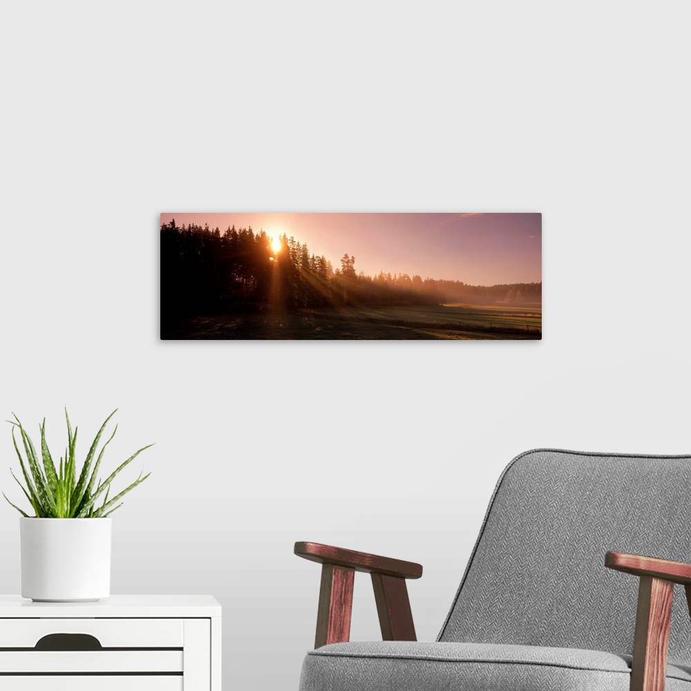A modern room featuring Early Morning Sun over Forest and Fields Sweden