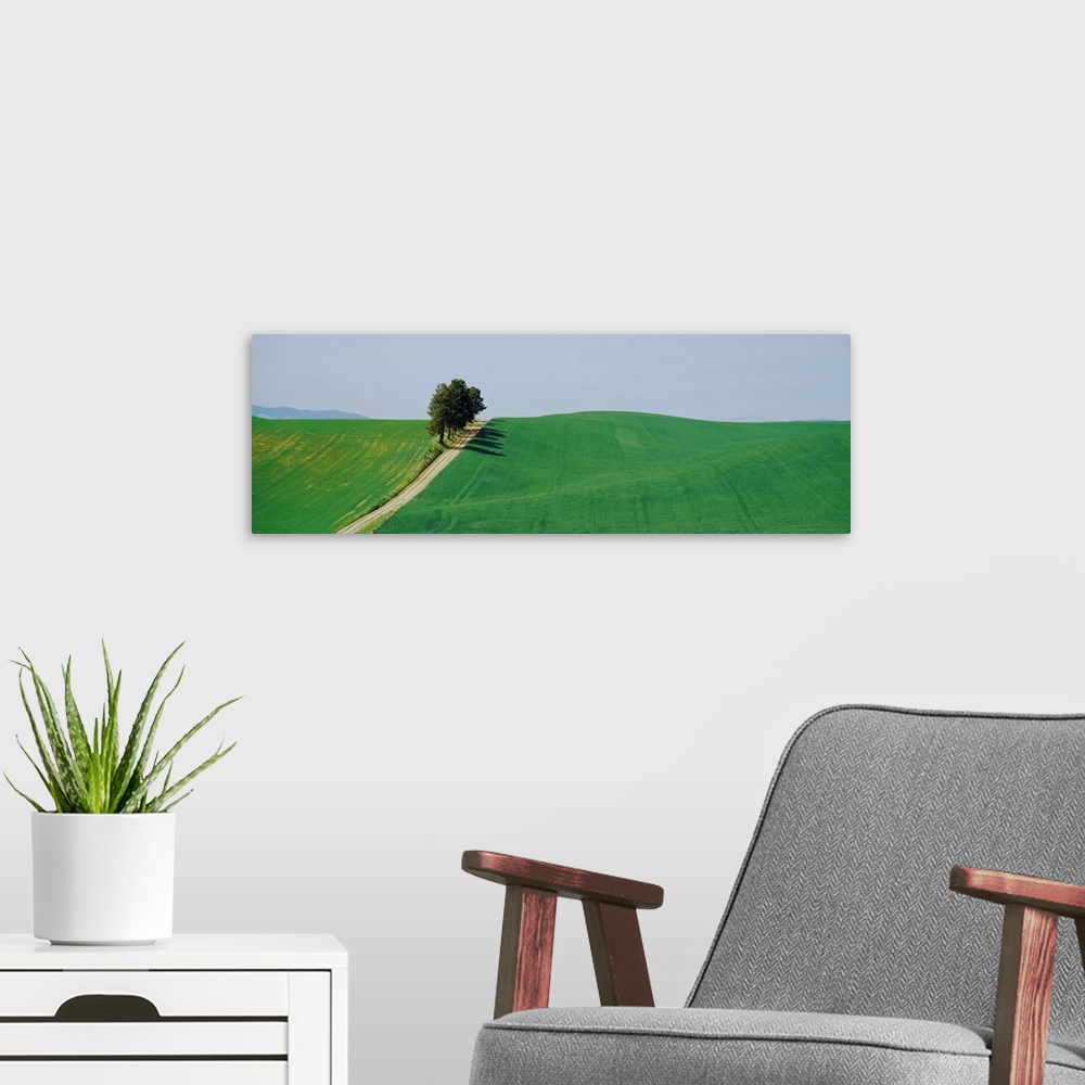 A modern room featuring Early Summer Wheat Field WA