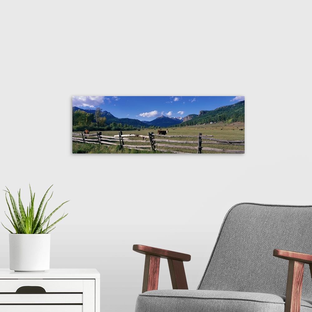 A modern room featuring Panoramic photograph of field with cows grazing with wooden fence in the foreground and forest an...