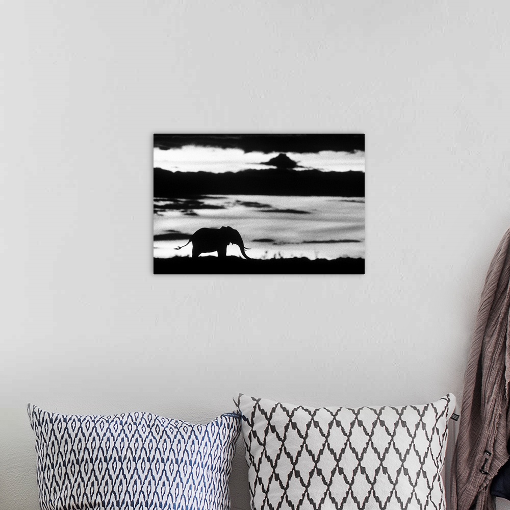 A bohemian room featuring Big photo on canvas of the silohuette of an elephant standing in a field.