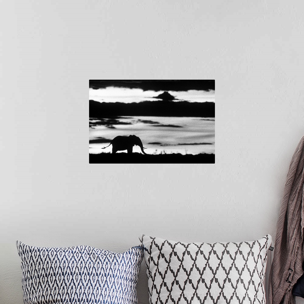 A bohemian room featuring Big photo on canvas of the silohuette of an elephant standing in a field.