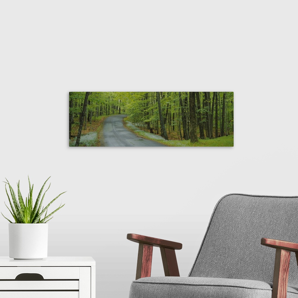A modern room featuring Empty road passing through a forest, Peninsula State Park, Door County, Wisconsin