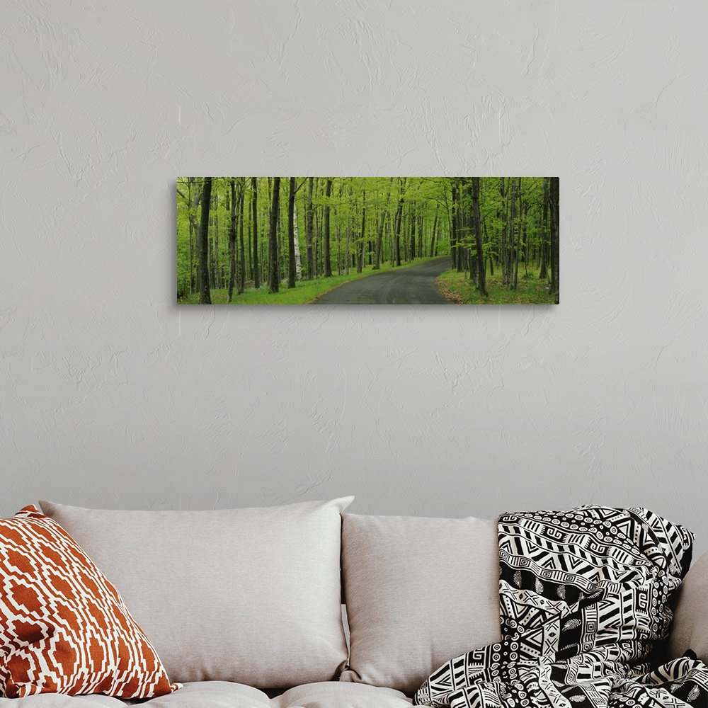 A bohemian room featuring Empty road passing through a forest, Peninsula State Park, Door County, Wisconsin