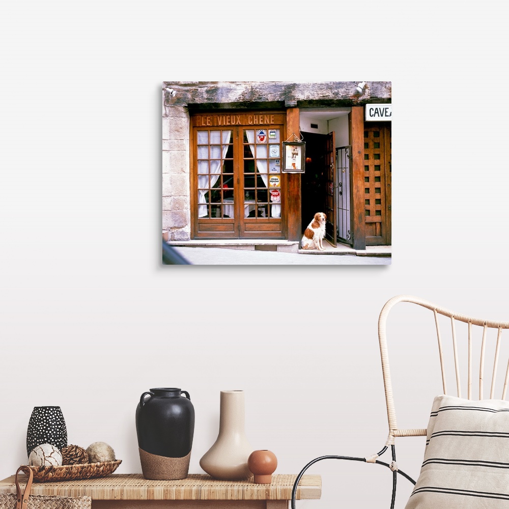 A farmhouse room featuring Huge photograph shows a dog sitting within the entrance of a restaurant in Europe.  The stone fao...