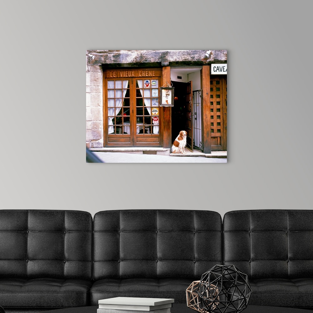 A modern room featuring Huge photograph shows a dog sitting within the entrance of a restaurant in Europe.  The stone fao...