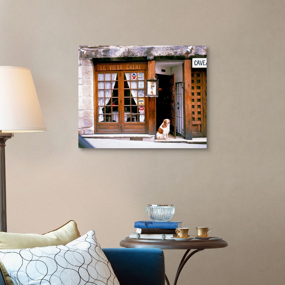 A traditional room featuring Huge photograph shows a dog sitting within the entrance of a restaurant in Europe.  The stone fao...