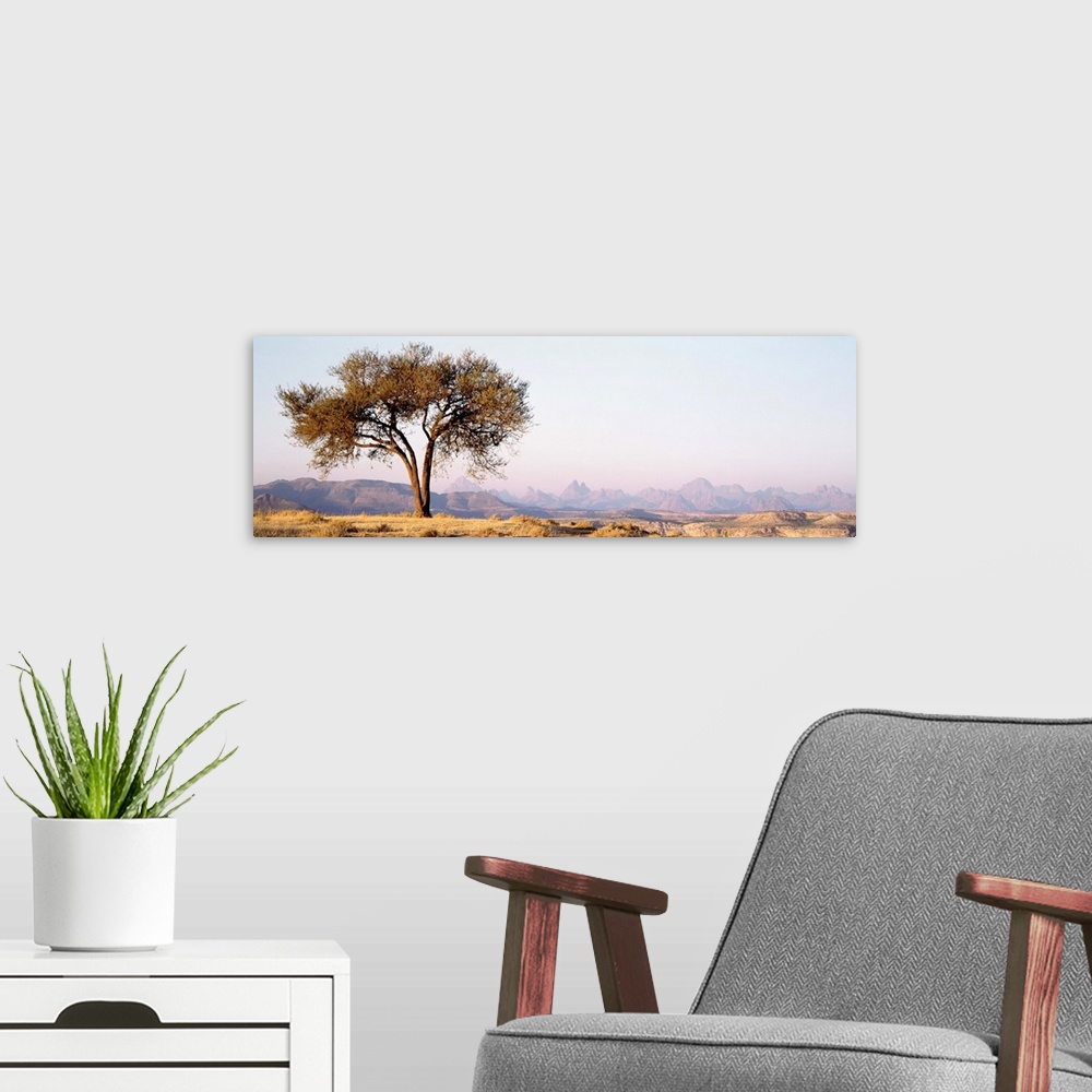 A modern room featuring Ethiopia, Debre Damo, tree