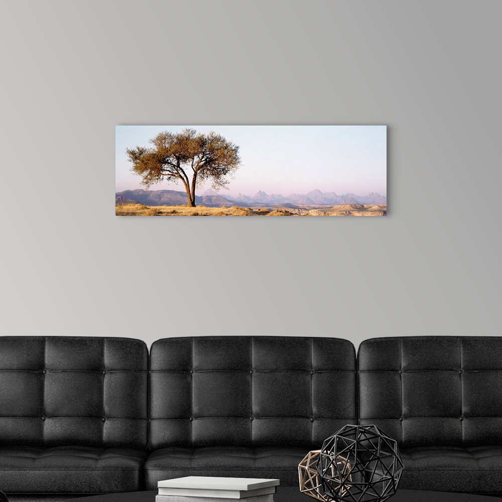 A modern room featuring Ethiopia, Debre Damo, tree