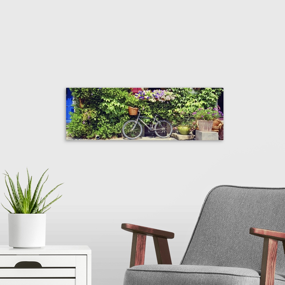 A modern room featuring This panoramic decorative accent is a photograph of a bicycle with a basket leans against a folia...