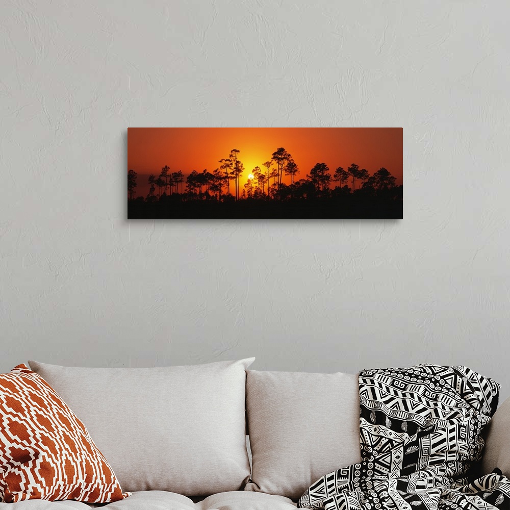A bohemian room featuring Panoramic image of the silhouettes of trees at sunset at the Everglades National Park in Florida.