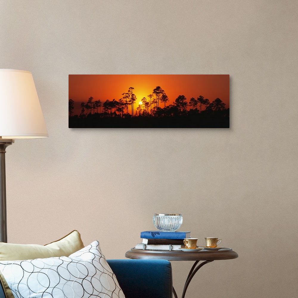 A traditional room featuring Panoramic image of the silhouettes of trees at sunset at the Everglades National Park in Florida.