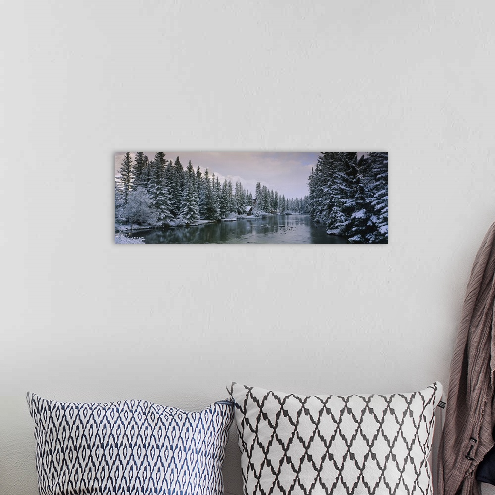A bohemian room featuring Evergreen trees covered with snow, Policemans Creek, Canmore, Alberta, Canada