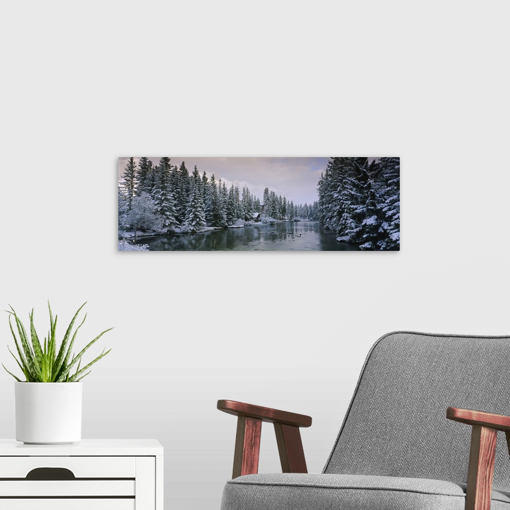 A modern room featuring Evergreen trees covered with snow, Policemans Creek, Canmore, Alberta, Canada