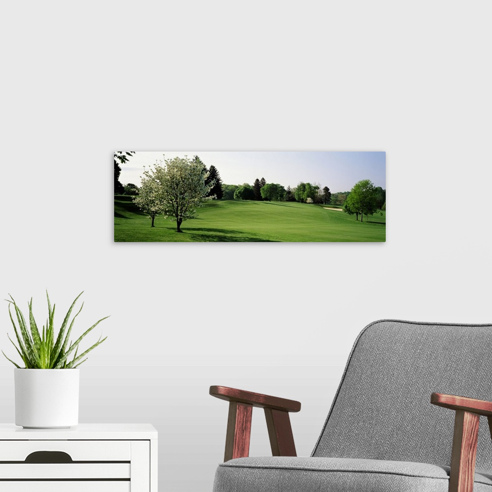 A modern room featuring Fairway w\ 2 white Dogwood trees Baltimore Country Club Five Farms Course MD USA