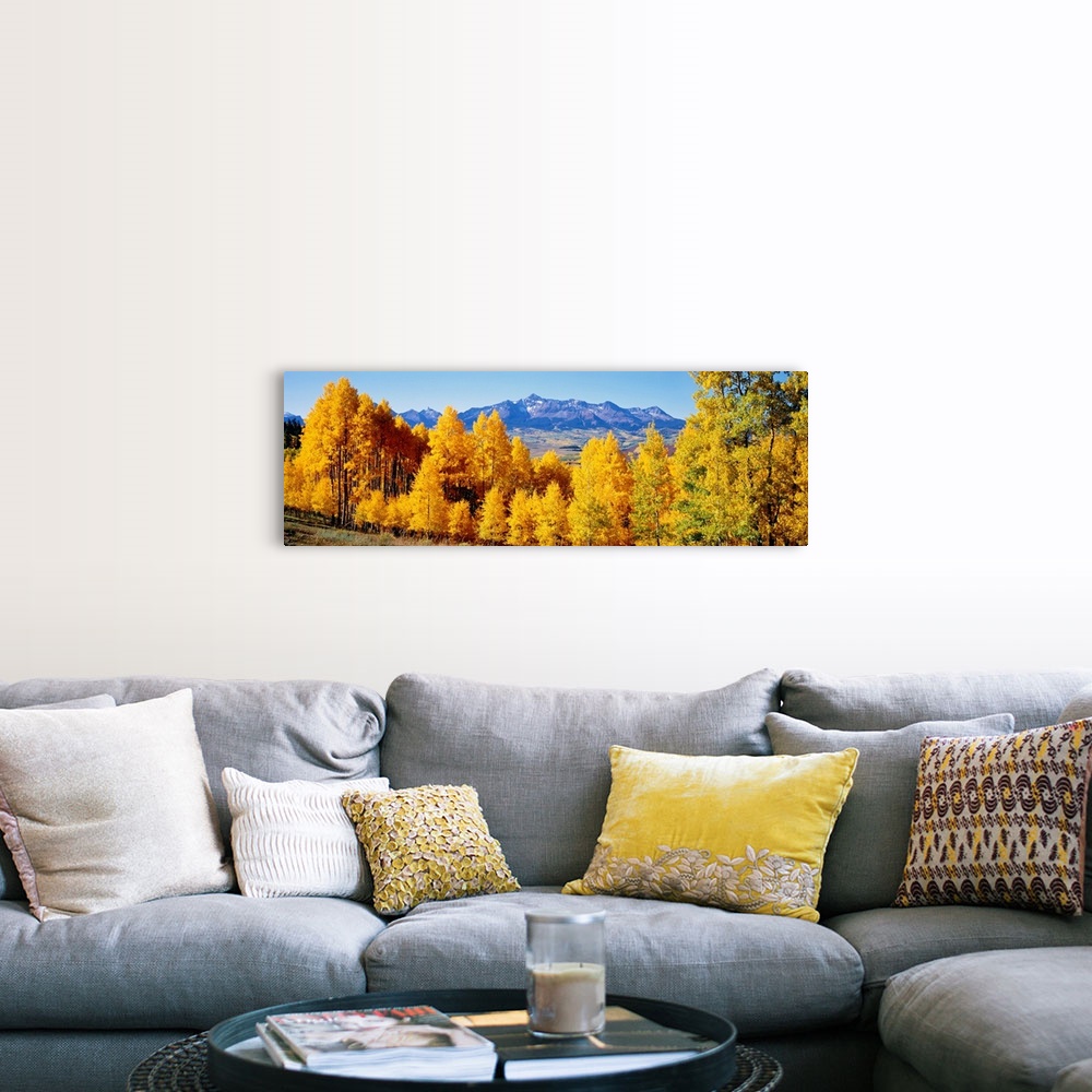 A farmhouse room featuring Panoramic photograph shows a brightly colored dense woodland with a backdrop of a large mountain ...