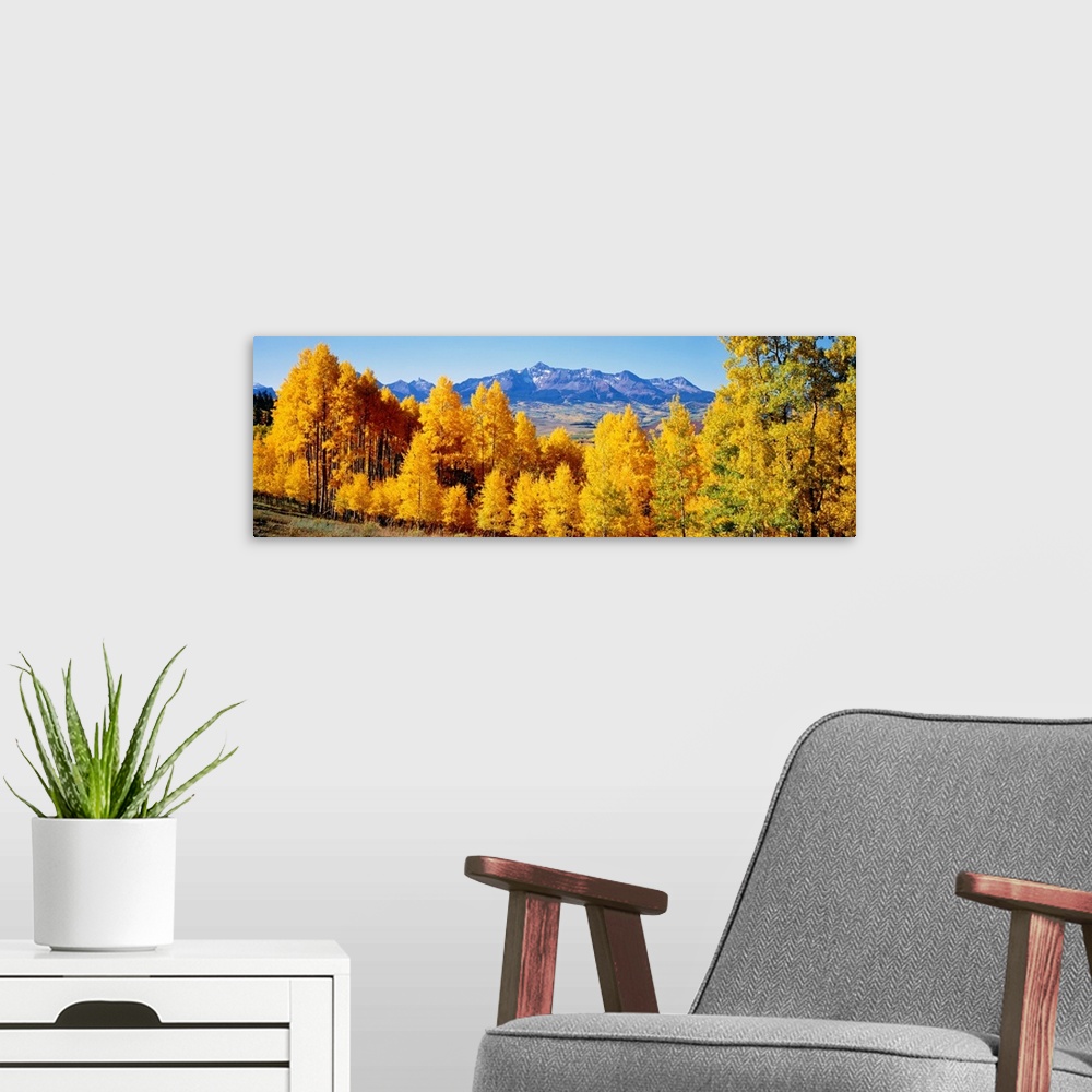A modern room featuring Panoramic photograph shows a brightly colored dense woodland with a backdrop of a large mountain ...