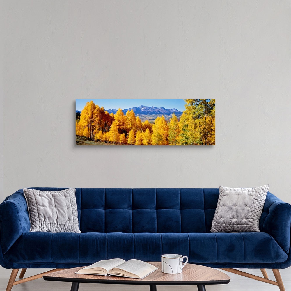 A modern room featuring Panoramic photograph shows a brightly colored dense woodland with a backdrop of a large mountain ...