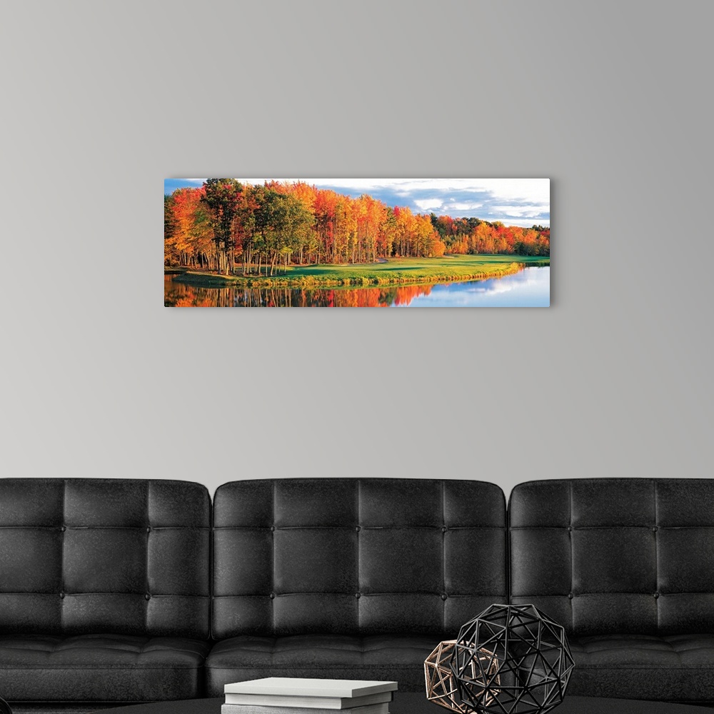 A modern room featuring Wide angle photograph of a bright autumn tree line along the waters edge, on a golf course in New...