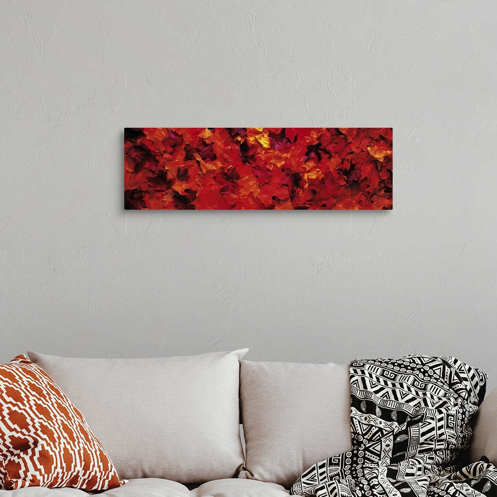 A bohemian room featuring Fall Maple leaves