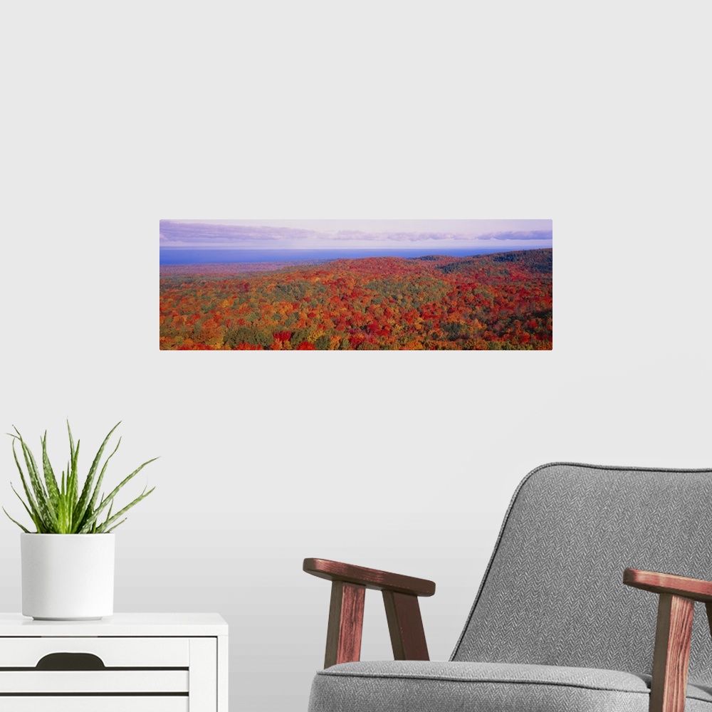 A modern room featuring Deciduous forest showing wide array of autumn colors across the hills of Michigan, with a lake in...
