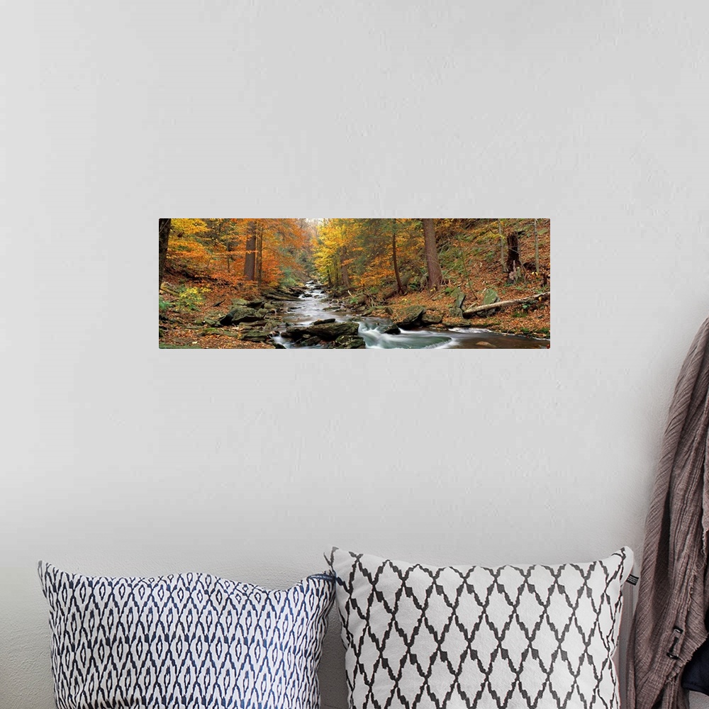 A bohemian room featuring This panoramic wall hanging is a photograph that shows the view up a boulder filled stream in an ...