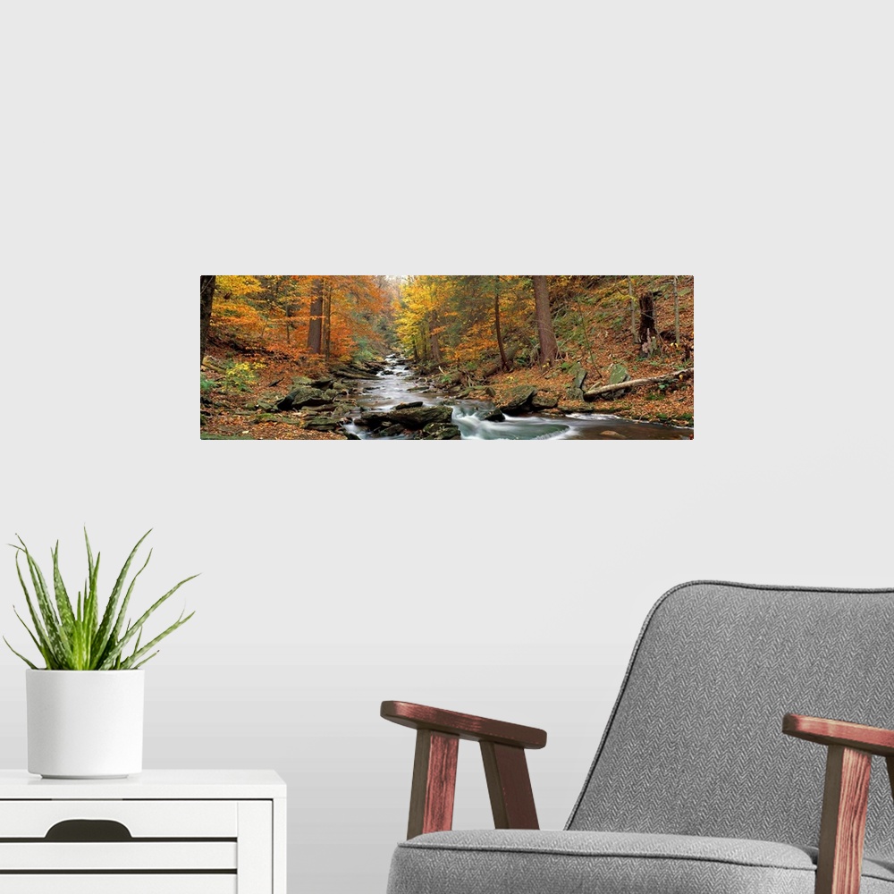 A modern room featuring This panoramic wall hanging is a photograph that shows the view up a boulder filled stream in an ...