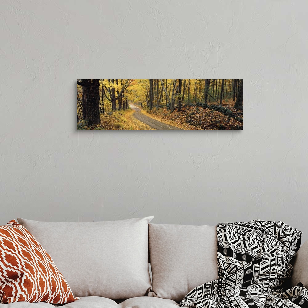 A bohemian room featuring Panoramic photograph of a narrow road winding through a deciduous forest in New Hampshire in Autumn.