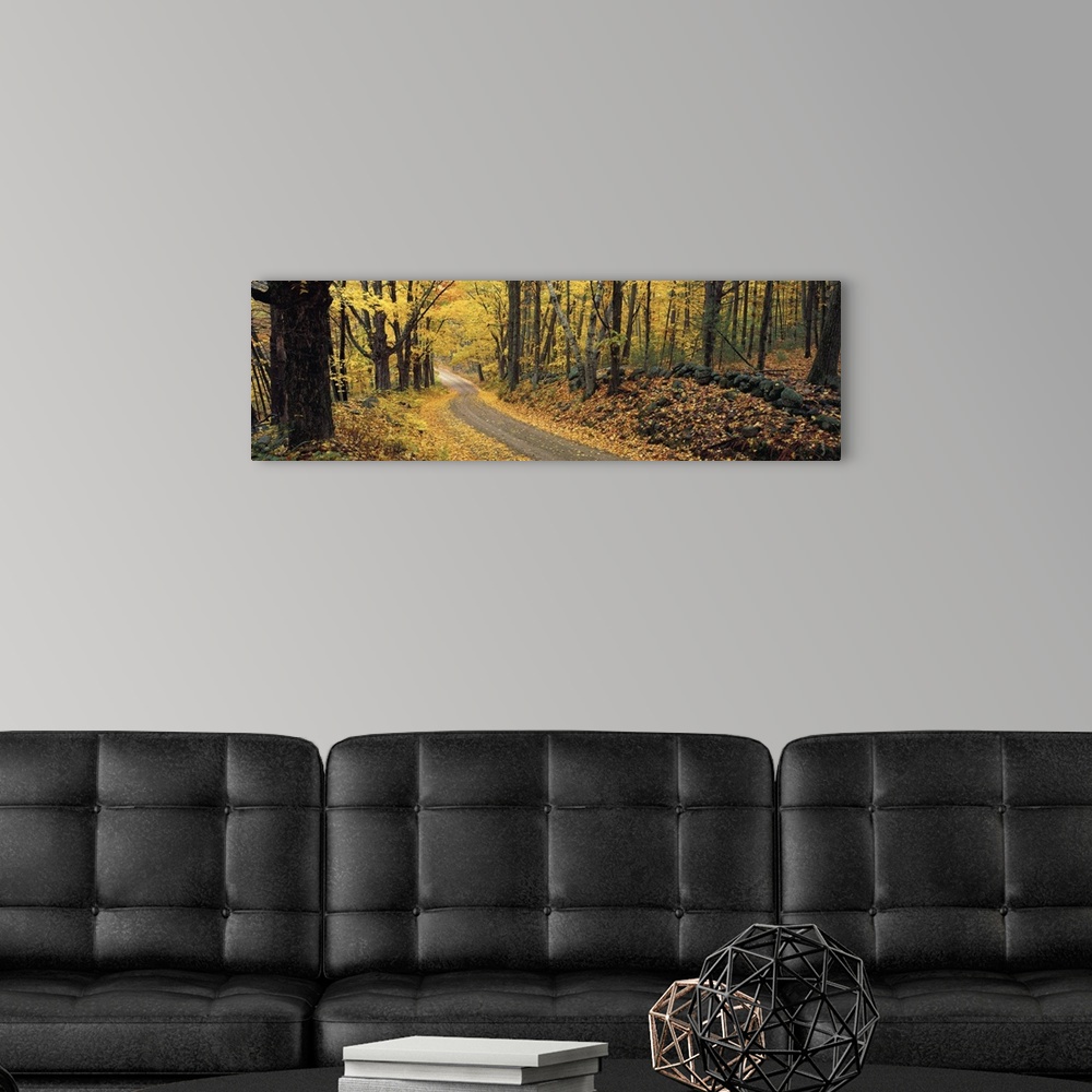 A modern room featuring Panoramic photograph of a narrow road winding through a deciduous forest in New Hampshire in Autumn.