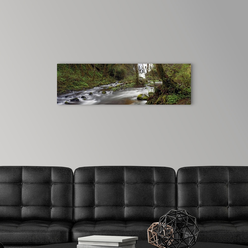 A modern room featuring Falls Fishhawk Creek Clatsop County OR