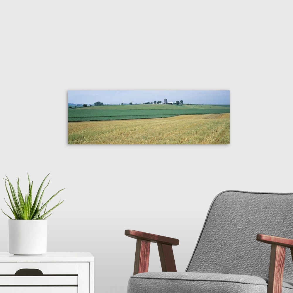 A modern room featuring Farm silos in an oat field, Iowa